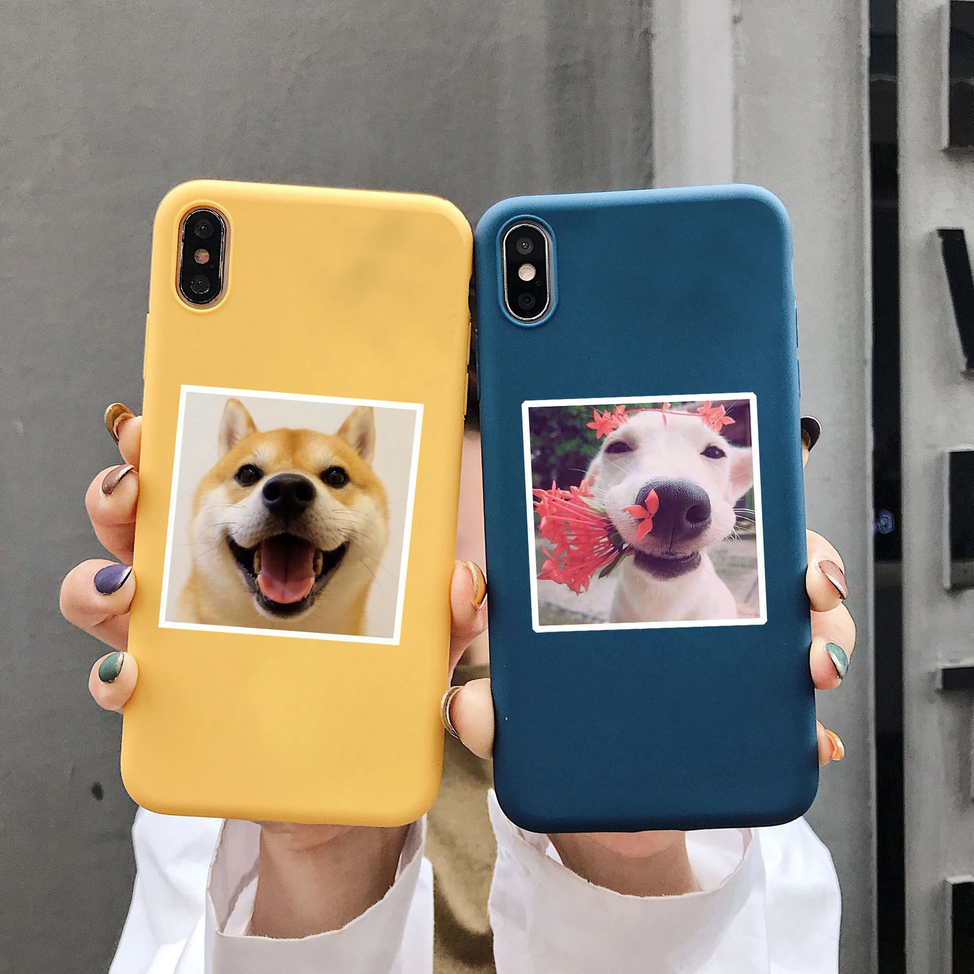 Чехол для iPhone 11 Pro Max 12 Mini X Xs XR SE 2020 SE2 8 7 Plus синяя желтая милая собака женщин девочек