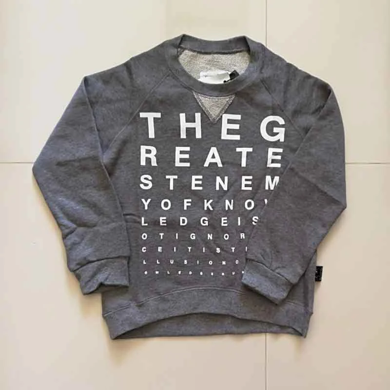 Grey Sweatshirt Комплект одежды для детей; коллекция года; сезон осень-зима; StRafina; куртка для мальчиков и девочек; толстовка; брюки; детский топ; футболка; платье; детская одежда - Цвет: Grey Sweatshirt