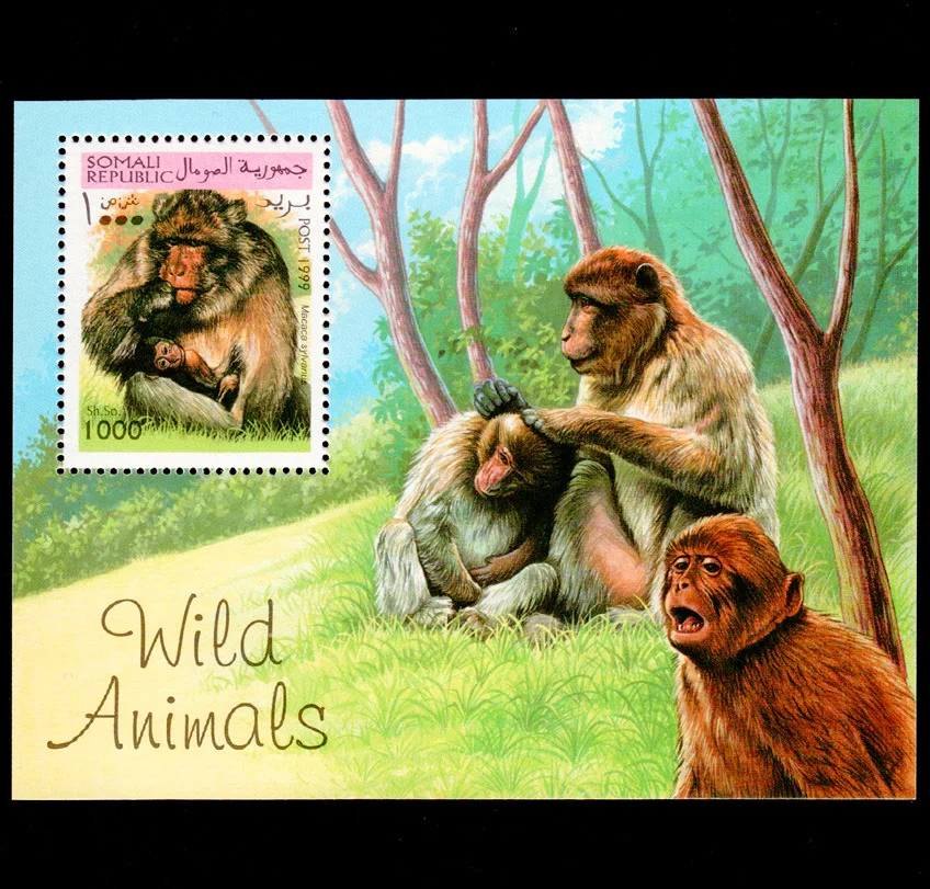 

1 лист, новая марка почты Сомали 1999, сувенир в виде Африканской обезьяны