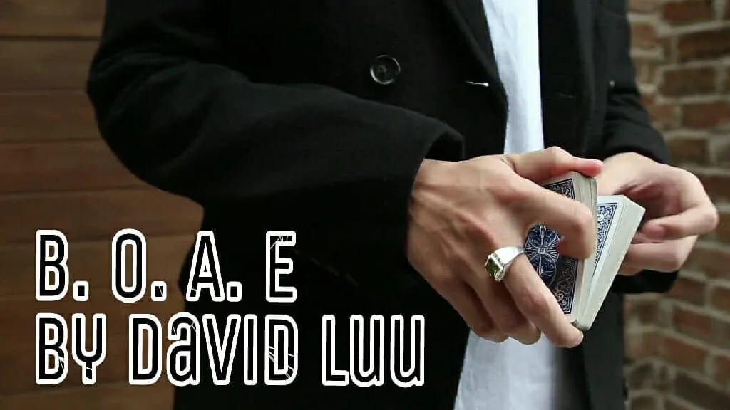 

Blink Of An Eye by David Luu,Magic Tricks