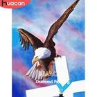 Полноразмернаякруглая 5d алмазная живопись HUACAN с орлом, рукоделие, алмазная вышивка сделай сам, животное, мозаика, крест, вышивка на стену