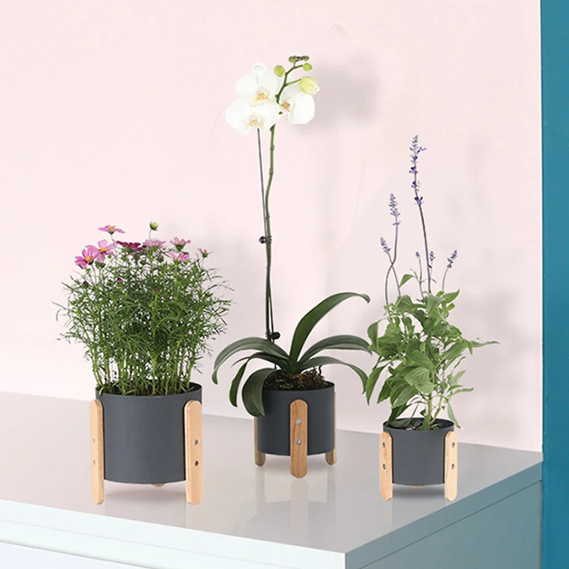 

Nordic Minimalism Style Marca dragon Iron Art Vase Tabletop plant Flower Pot Home Wedding Living Room Decoration Wooden base
