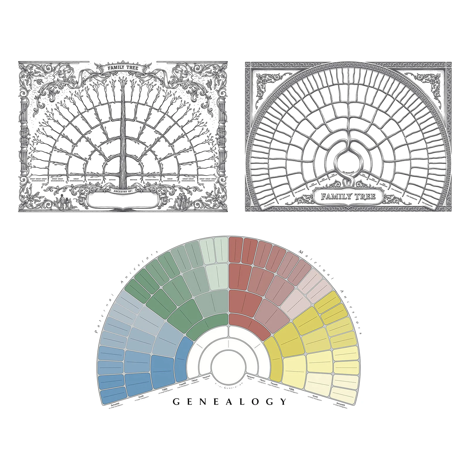 Большая Персонализированная диаграмма семейного дерева Заполняемая форма
