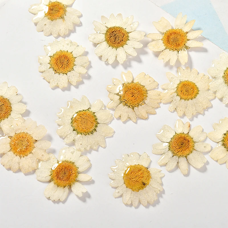 Материал аксессуары для Diy серьги Мори цветок падение клей маленькая Маргаритка