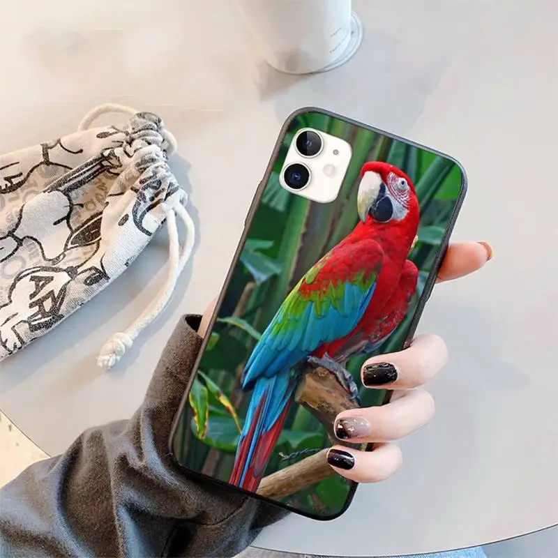 

Parrot animal cute smart Phone Case for iPhone 11 12 mini pro XS MAX 8 7 6 6S Plus X 5S SE 2020 XR