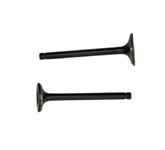 

CUB 100 Suction-Exhaust Subab Team DeltaForce