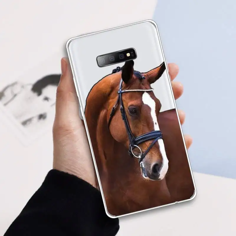 

Frederik The Great beauty horse high quality Phone Case Transparent For Samsung Galaxy A 71 21s S note 8 9 10 plus 20 ultra