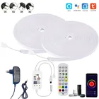 Лента светодиодная неоновая с управлением музыкой и пультом ДУ, 12 в пост. Тока, 123456810 м