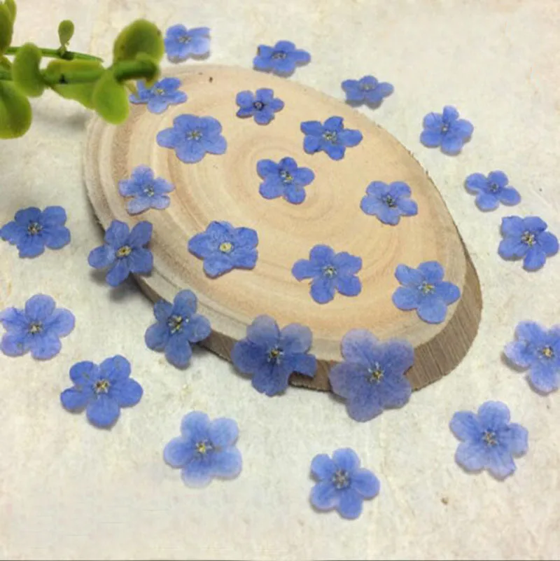 100 шт. фотообои с изображением голубого/белого цветов|Искусственные и сухие