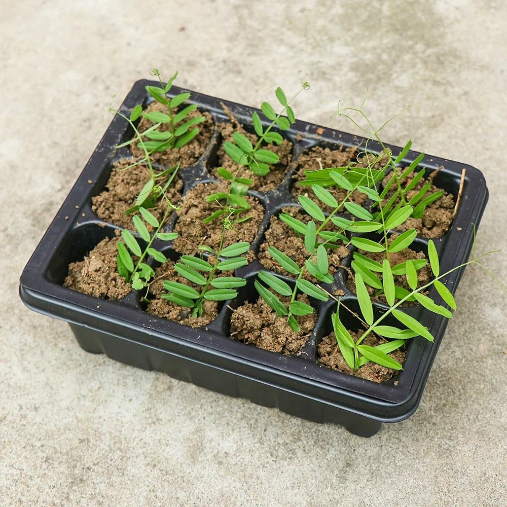 Набор пластиковых горшков для выращивания саженцев с 6/12/24 отверстиями | Дом и сад