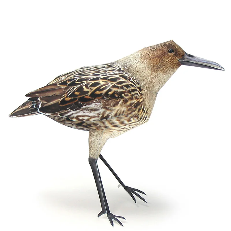 Бумажная модель с большим узлом птицы оригами искусство реалистичное животное