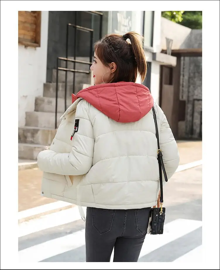 Veste d'hiver manteau femmes 2019 coton remburrte Sustans capuche courte парки для женщин тонкие женские |