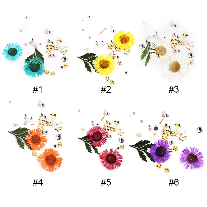 1 Box Dried Daisy Flowers 3D Hydrangea Mixed Nail Drills Art Decoration Beauty for UV Gel Polish Nails Design | Красота и здоровье