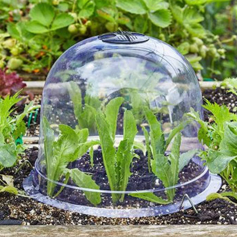 

12Pcs Garden Cloche,Plastic Plant Protect Cover Garden Cloche Dome for Outdoor Plant Humidity Adjustable Dome for Seed