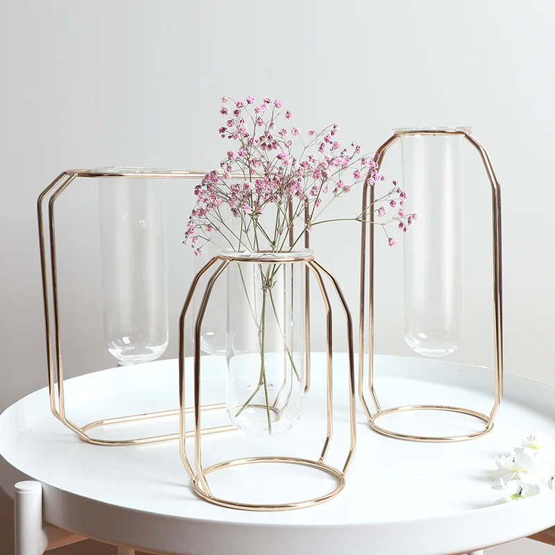 

Nordic Creative Vase Home Decor Golden Glass Vase Hydroponic Plant Holder Iron Line Flowers Ornament Home Garden Decoration Hot