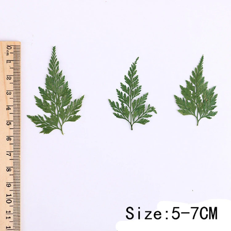 12 шт. декоративные закладки для скрапбукинга|Ювелирная фурнитура и компоненты| |