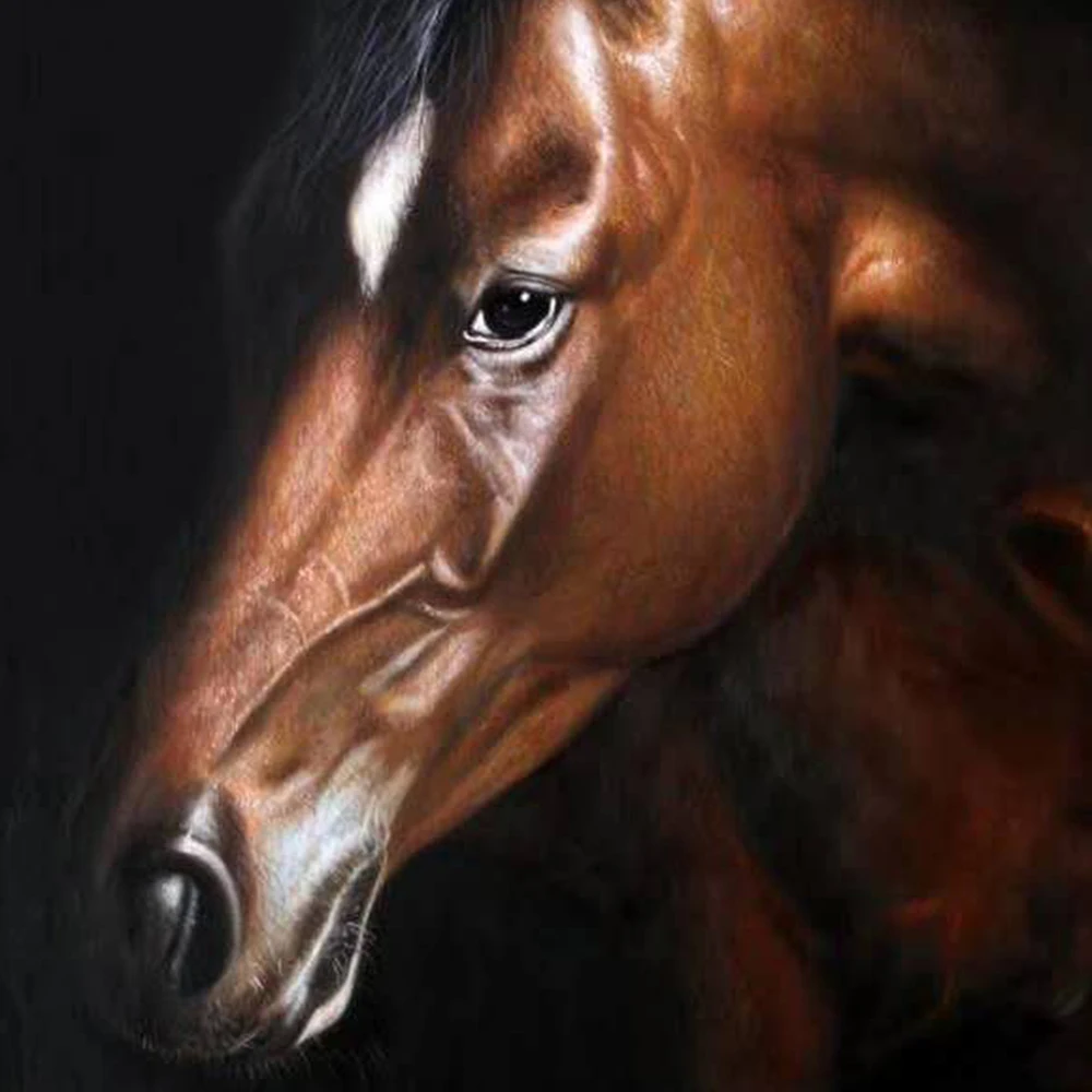 

Realistic Horse Head Detailed Handpait Oil Painting Art Frameless