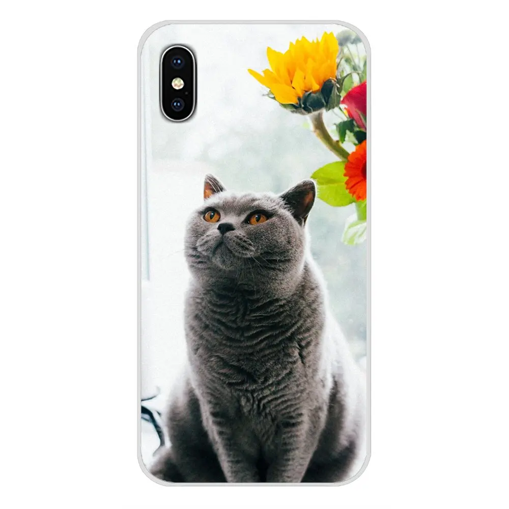 images 3 Для Apple IPhone X XR XS 11Pro MAX 4S 5s 5C SE 6S 7 8 Plus ipod touch 5 6 Британский короткошерстный Кот Топ дизайн силиконовые чехлы - Цвет: images 3