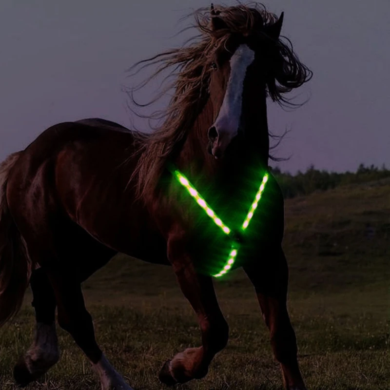 

2021 New Horse Webbing Harness Collar Breastplate Safe Riding Equipment Adjustable Night Visible LED Light Chest Belt