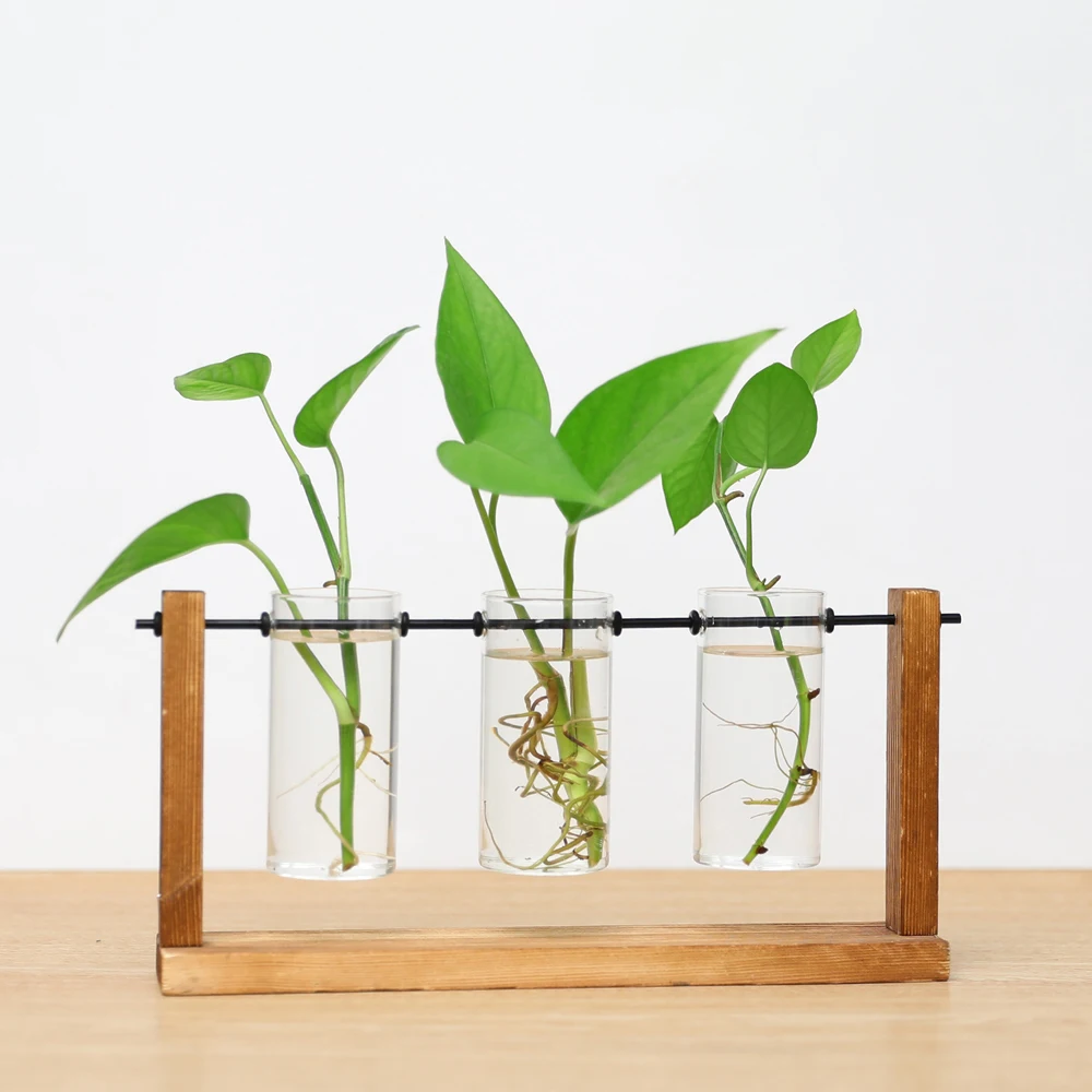

Террариум, креативные прозрачные вазы для гидропонных растений, цветочный горшок, деревянная рамка, стеклянный стол, растение для дома