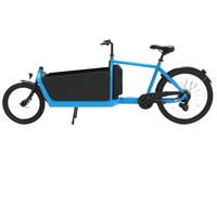 Electric 2 Wheel Bike With Wooden Box Or Metaril Box For Sport Style