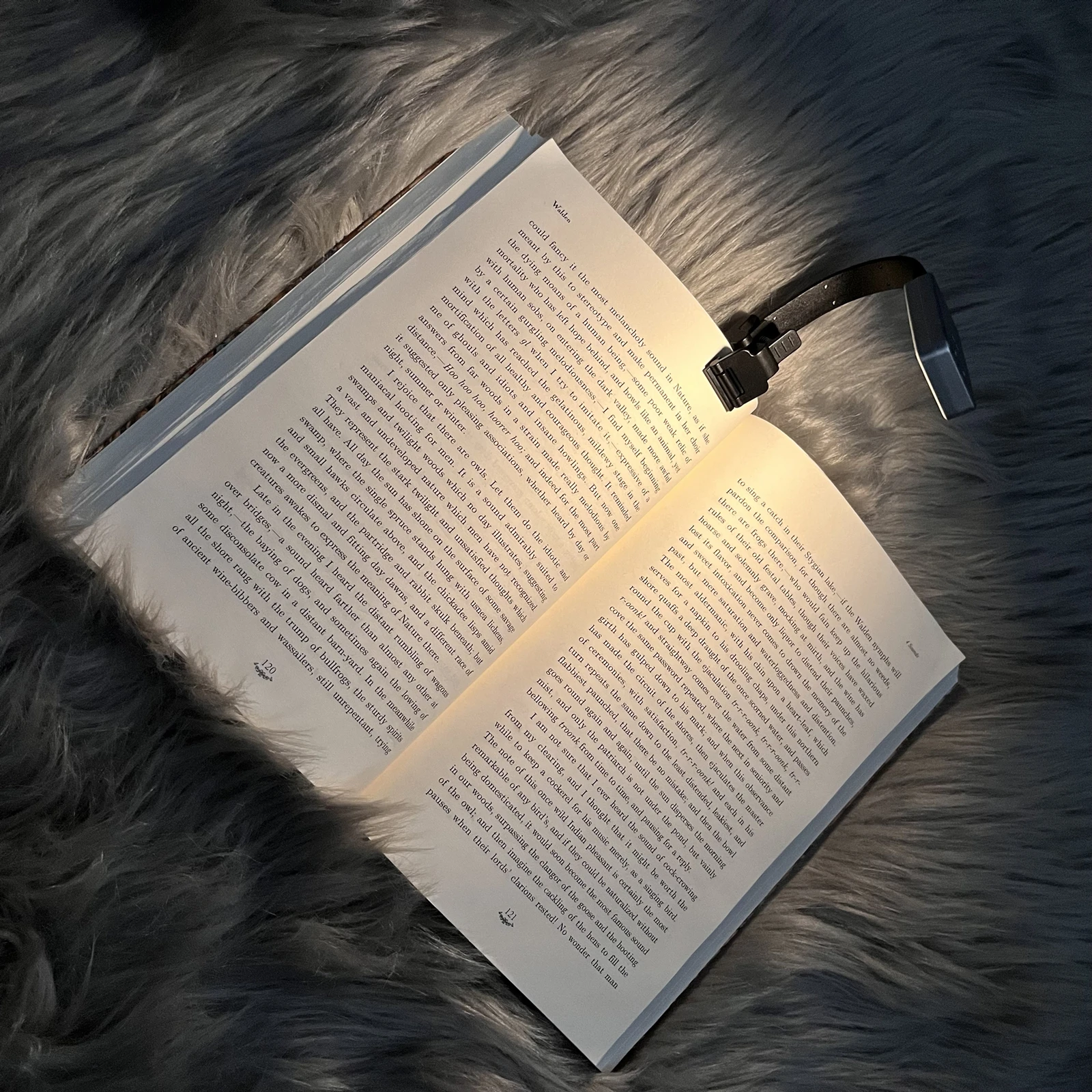 AXX LED USB Rechargeable Reading Book Light With Detachable Flexible Clip Portable Lamp Kindle eBook Readers Night Light Bedroom images - 6