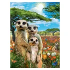 Алмазная 5D картина Счастливая семья Мангуста, сделай сам, полная круглая Вышивка крестиком, мозаика для домашнего декора, Y617