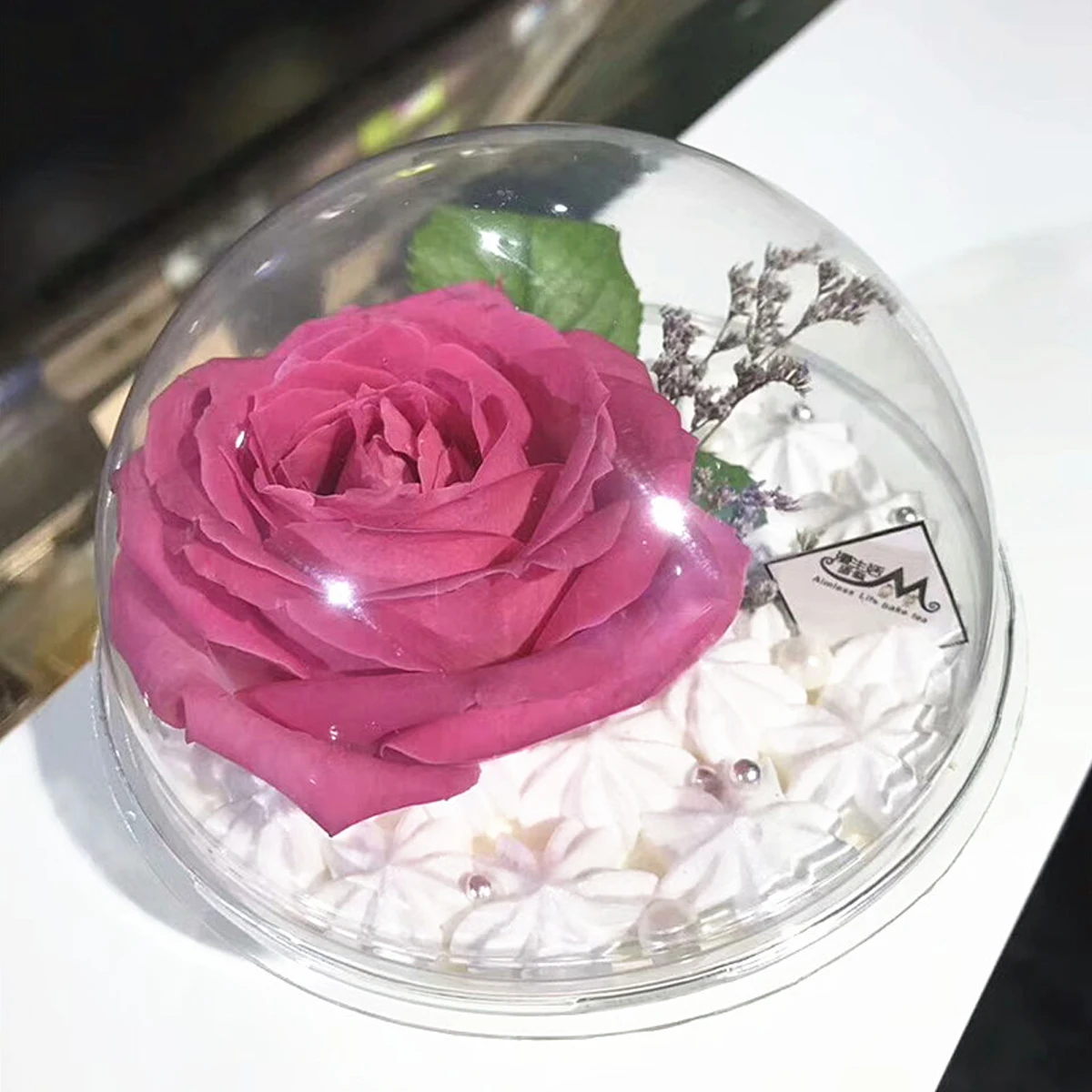 

10pcs Transparent Open Plastic Clear Gift Present Box Decoration Plastic Cake Container Portable Mousse Ball Round Clear Ball