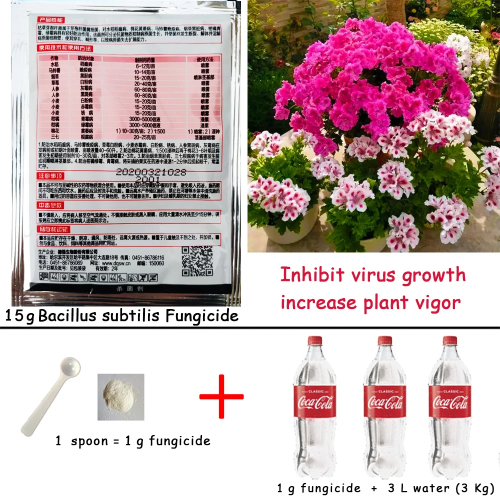 Лекарственные препараты для лечения болезней растений пестициды фунгициды