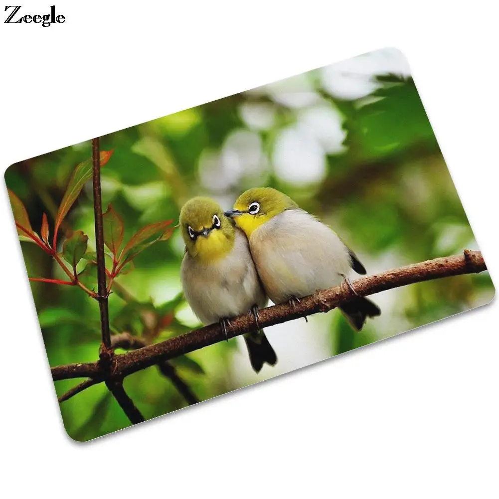 

Нескользящий Резиновый коврик с принтом совы, износостойкий грязеотталкивающий коврик для входной двери в ванную комнату и кухню, Впитываю...