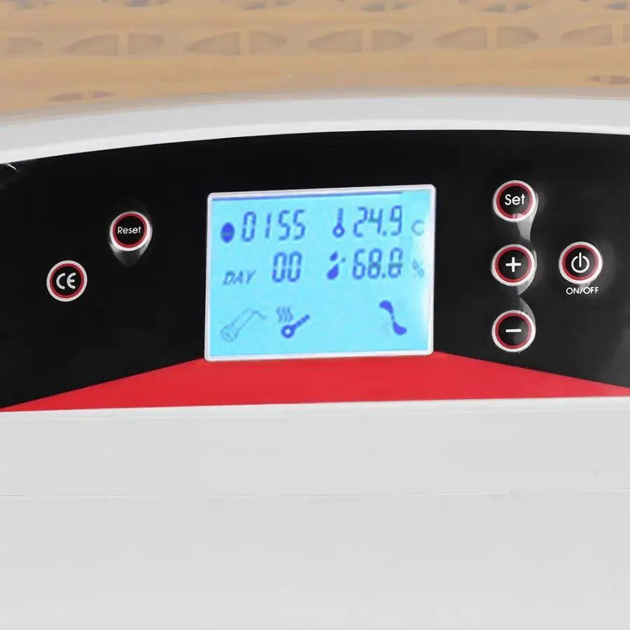 32 яйца одной мощности маленькие домашние цыплята утки птицы полностью