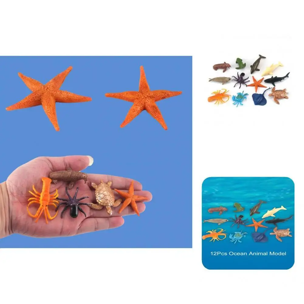 

Fine Workmanship Clear Lines Mini Ocean Animal Model Toy for Student