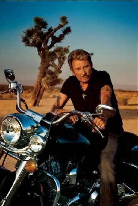 5d алмазная живопись вышивка крестиком мультяшная картина Джонни Хэлли набор для