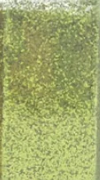 Light Green 30 г с перламутровым блеском порошок флэш-порошок Блестящий металлический пигмент, поделки своими руками, искусство ногтей краска покрытие автомобильное покрытие - Цвет: Light Green