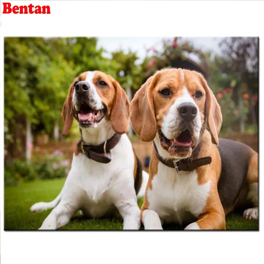 5d diy Алмазная картина ангел девочка алмаз полный квадратный круглый кристалл