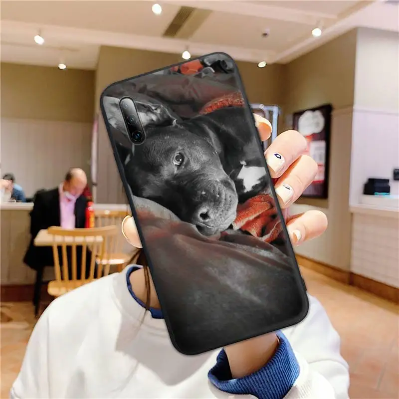 

Pit Bull Lovely Pet Dog Phone Case For Huawei nove 2i 3i E 4 5 6 7 Pro Se Y5 Y6 Y7 Y8 Y9 Prime 2018 2019 Cover Fundas
