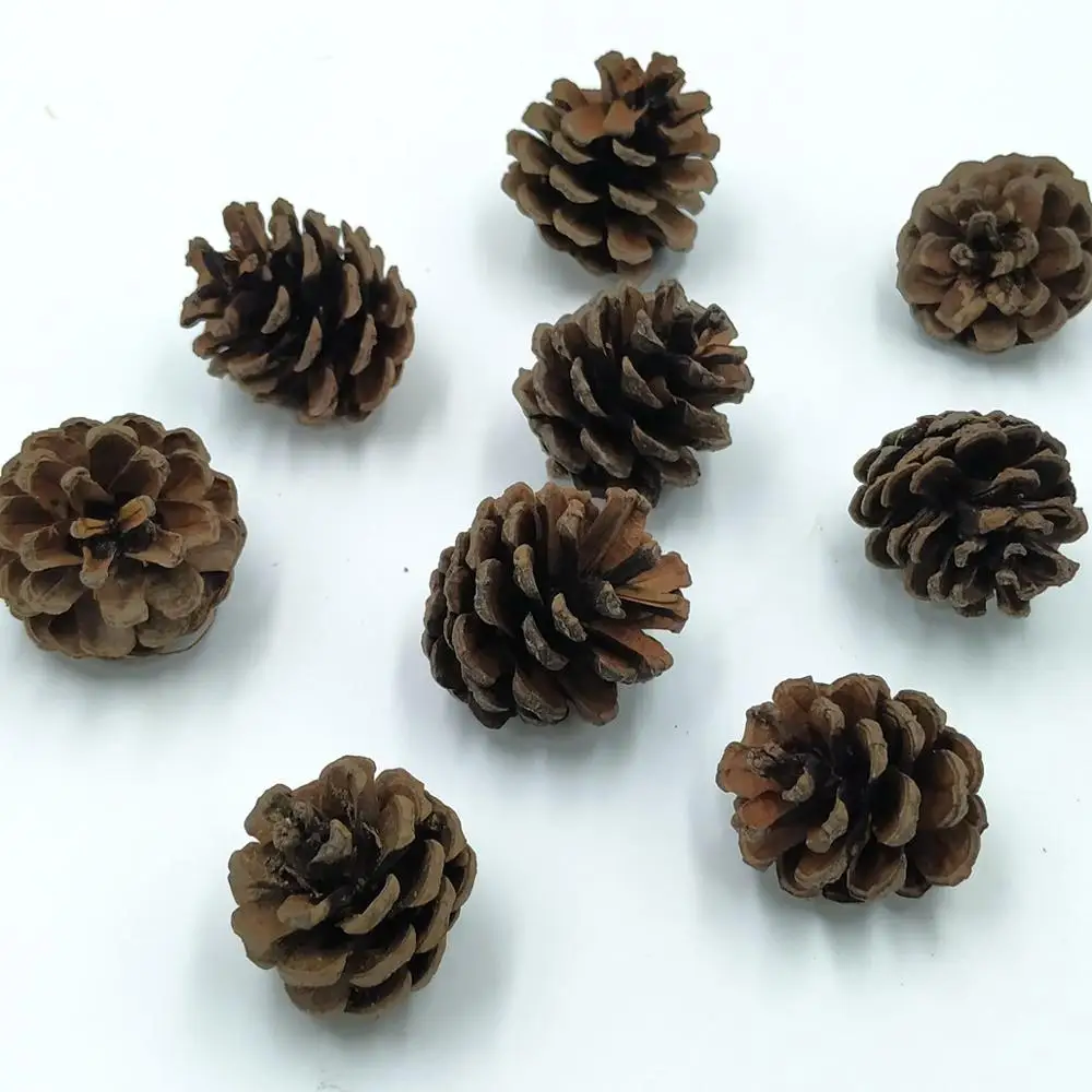 Шишки из натуральной сосны для рождественского декора 20 шт. | Дом и сад
