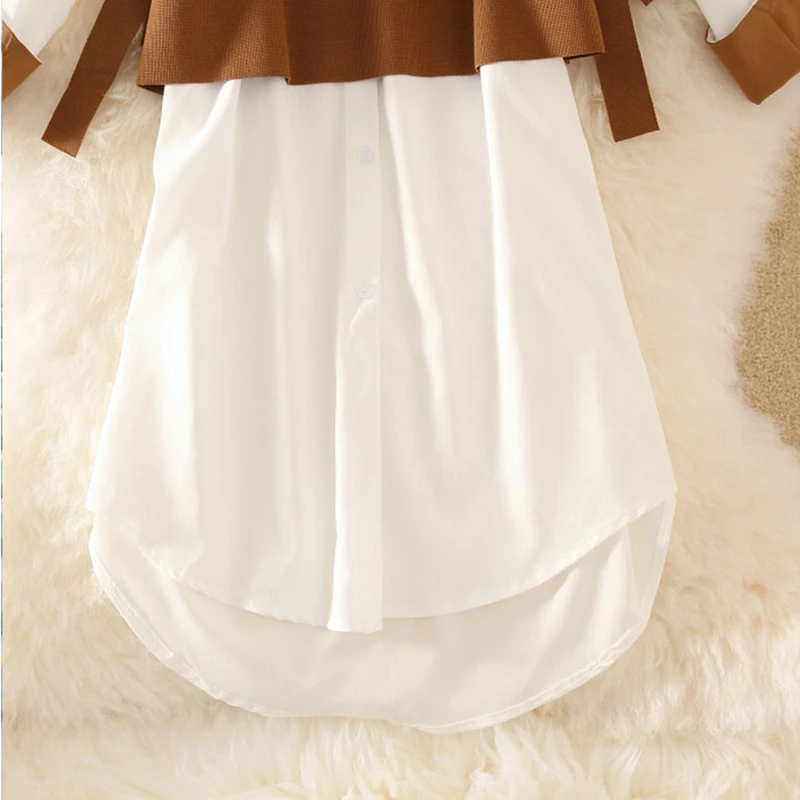 Осень зима 2020 новинка Корейская рубашка + жилет платье костюм женский маленький