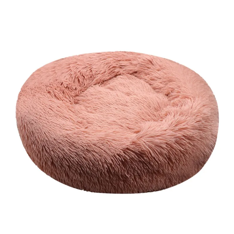 

Pet Products