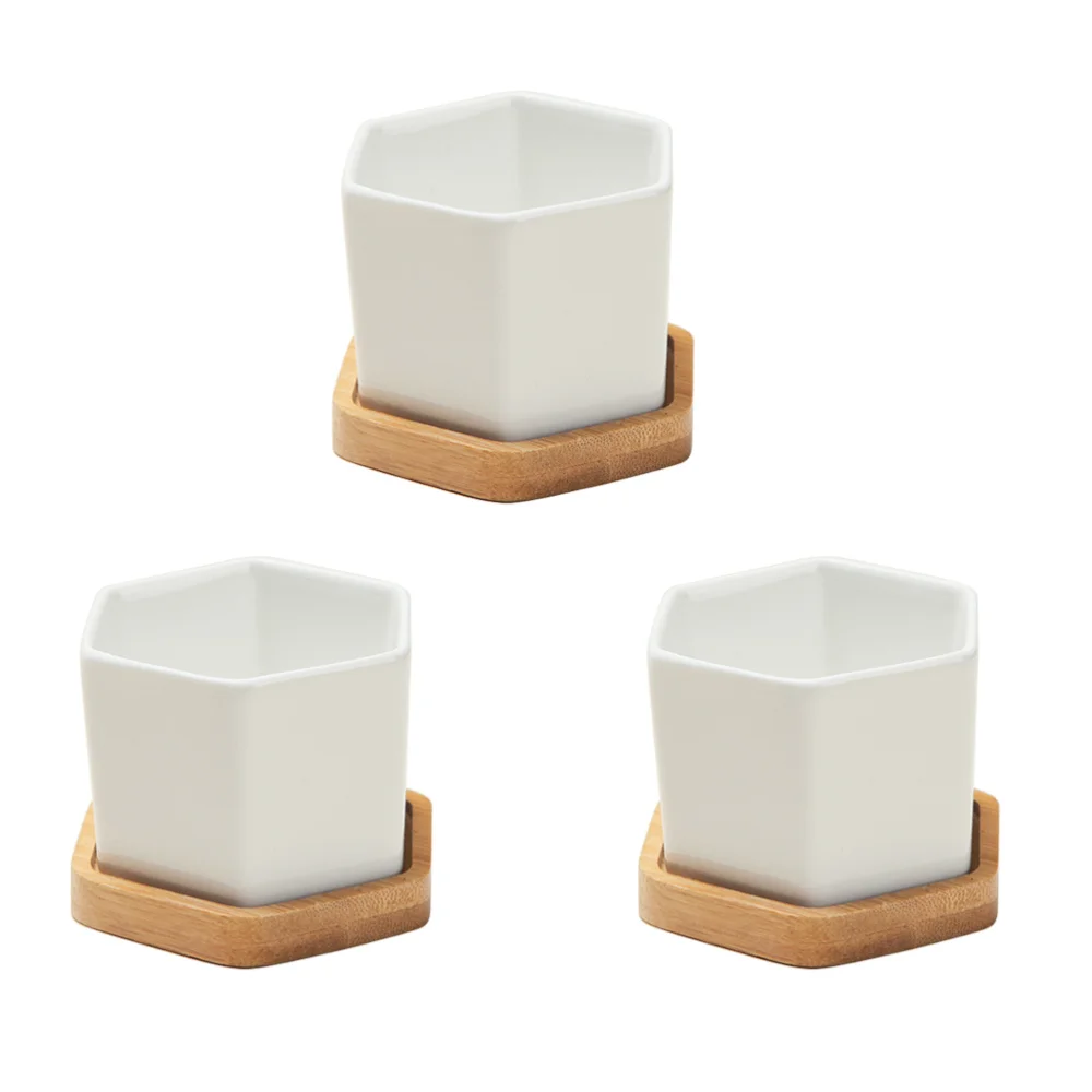 3 набора небольших белых керамических шестиугольных суккулентов горшок для