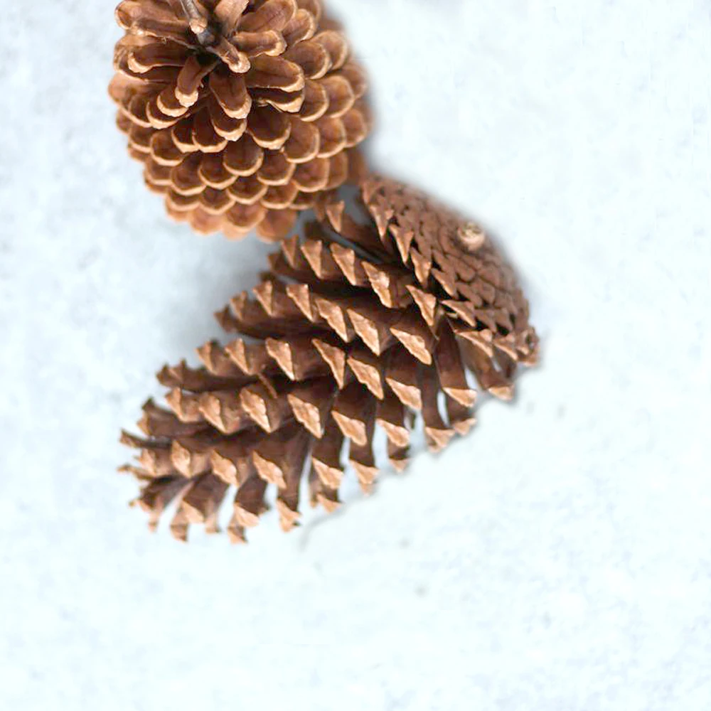 4 шт. 10-14 см большой размер натуральные рождественские украшения большие сосновые