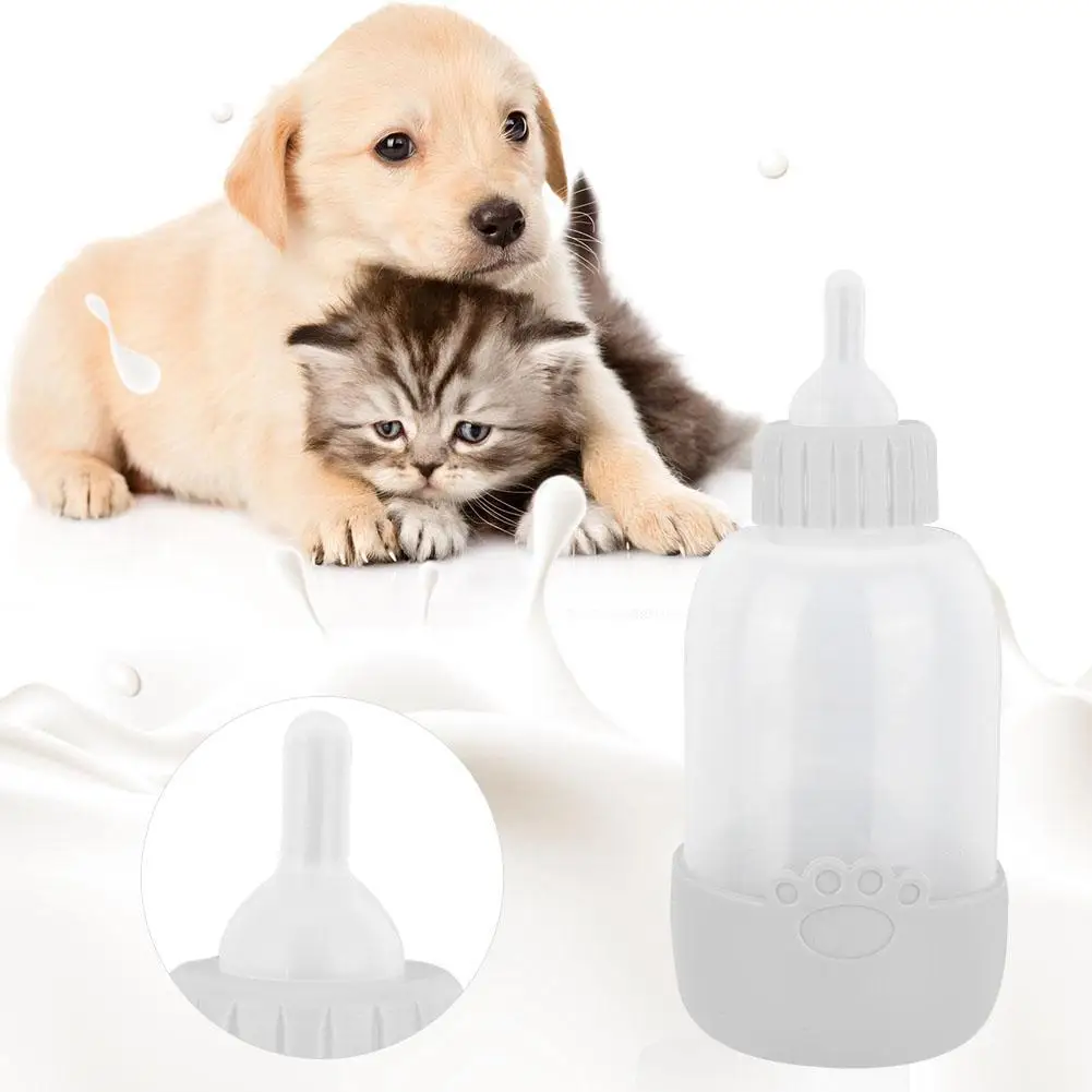 Набор щеток для кормления собак щенков котят корм небольших домашних животных