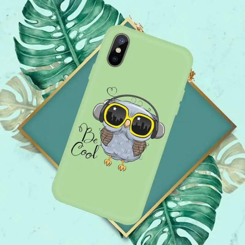 

Cartoon Girl Gifts Cute Owl lovers Phone Case Green Candy Color for iPhone 11 12 mini pro XS MAX 8 7 6 6S Plus X SE 2020 XR