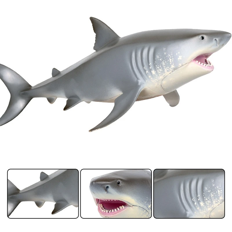 

Sea Life Animals Great White Shark Model Pvc Figurines Simulation Models Toys