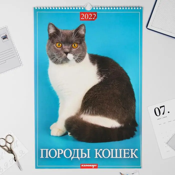 3 Кота 2022 Год Новые