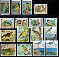100pcslot birds stamp topic all different from many countries no repeat postage stamps with post mark for collecting