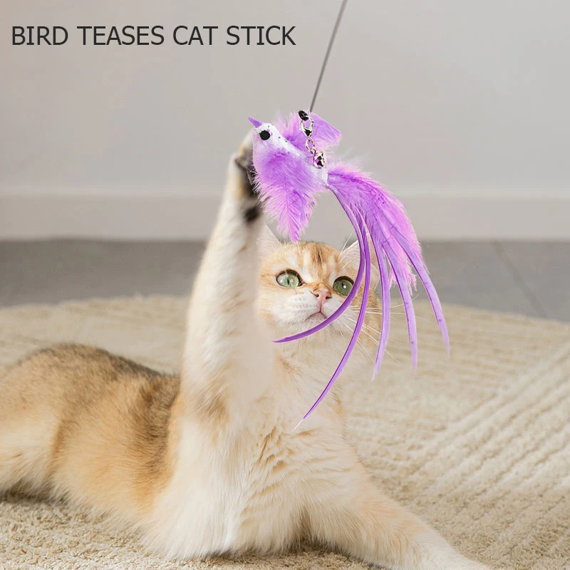 

Cat Toys Cute Funny Colorful Rod Teaser Wand Steel Wire Pet Toys for Cats Interactive Stick With Feather Toys Cat Supplies