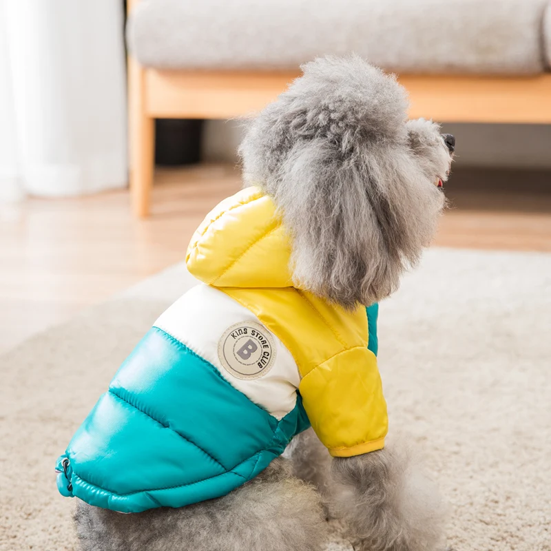 Hipidog Прямая поставка в полоску хит продаж зимний пуховик для собак пальто