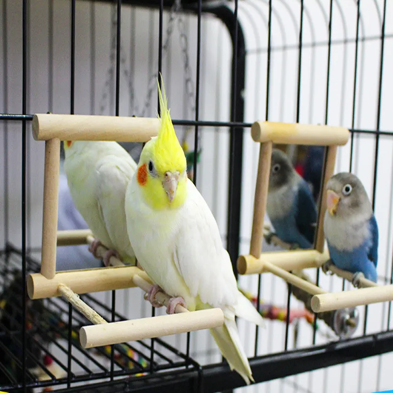 

Зеркальная птица с окунем, искусственная подставка, игрушка для попугаев, попугаев, тараканов, искусственные игрушки, птичья клетка