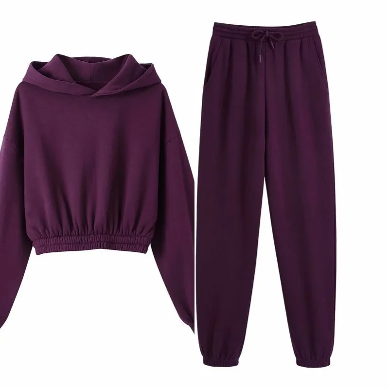 

Fleece Tracksuits Women Two Pieces Set Hooded Oversized Sweatshirt Pants Solid Color Hoodie Suits Autumn Winter Casual Outfits